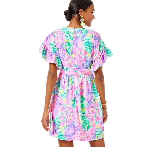 NWT Lilly Pulitzer Blaire Stretch Dress in “It Was All a Dream” - Picture 3 of 11